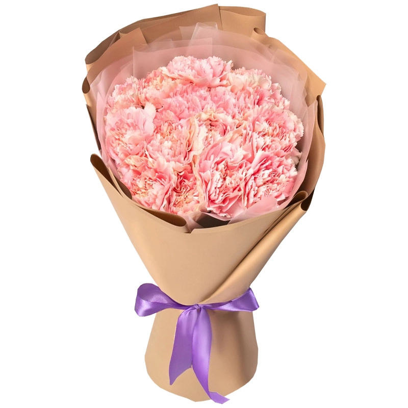 Букет из 15 розовых гвоздик