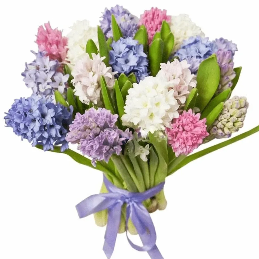 Гиацинты нежный микс
